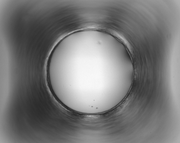 X0000096451483200802141502