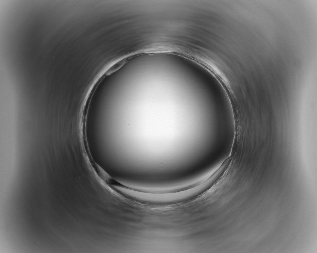 X0000096451484200802141502