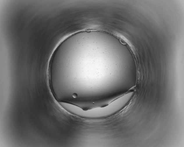 X0000096451487200802141502