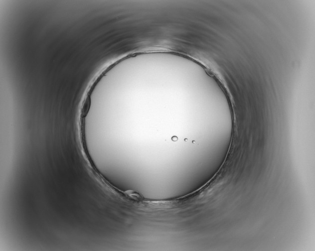 X0000096451488200802141502