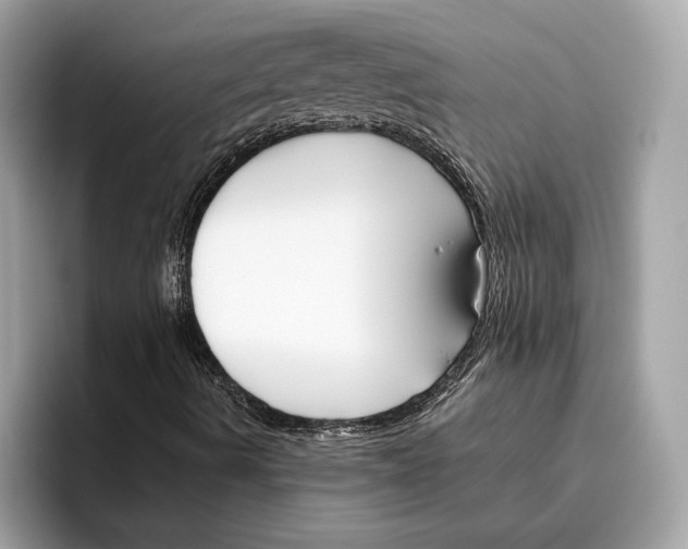 X0000096451490200802141501