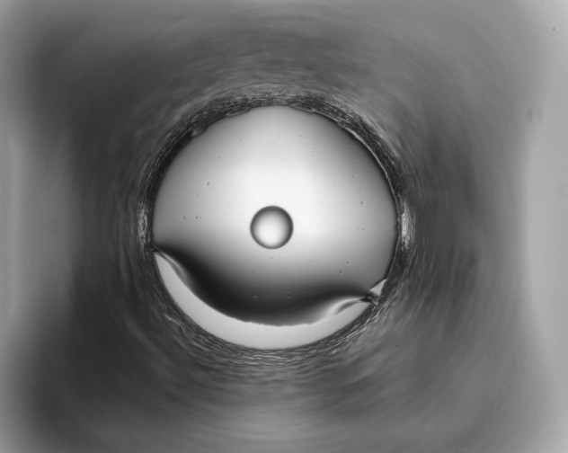 X0000096451492200802141501