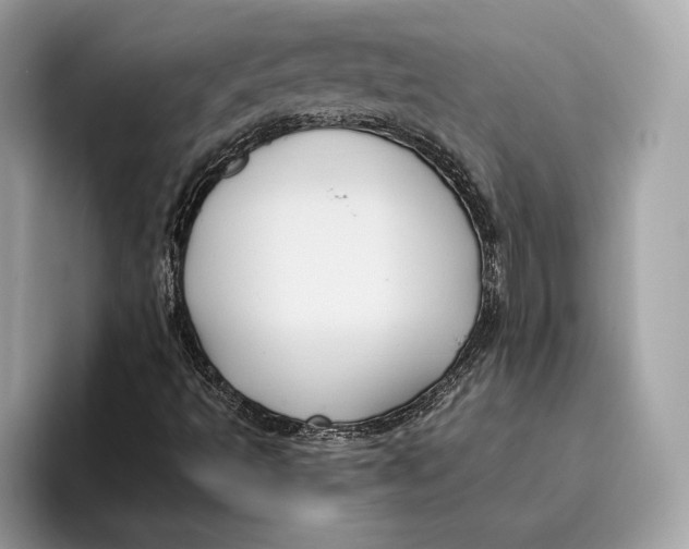 X0000096451493200802141501