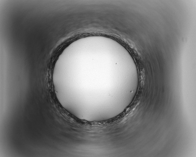 X0000096451494200802141501