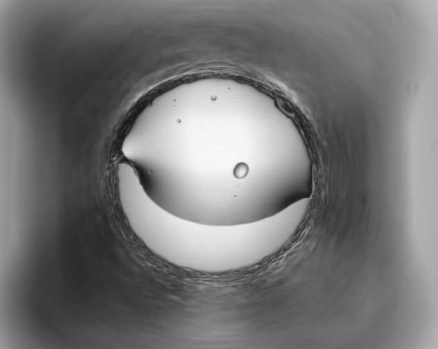 X0000096451496200802141501