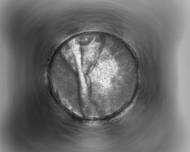 X0000096451497200802141501