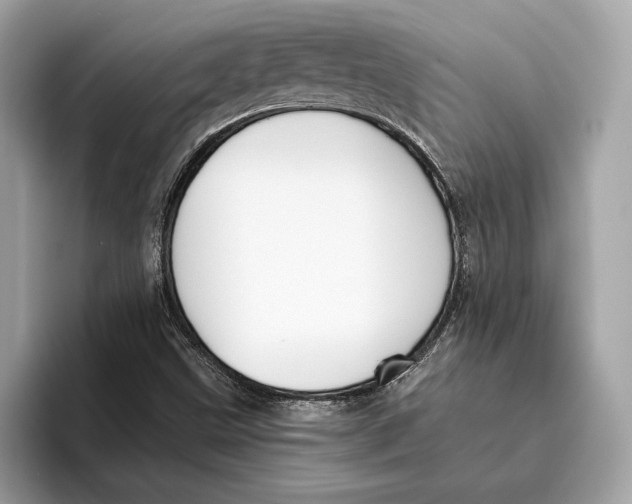 X0000096451499200802141501