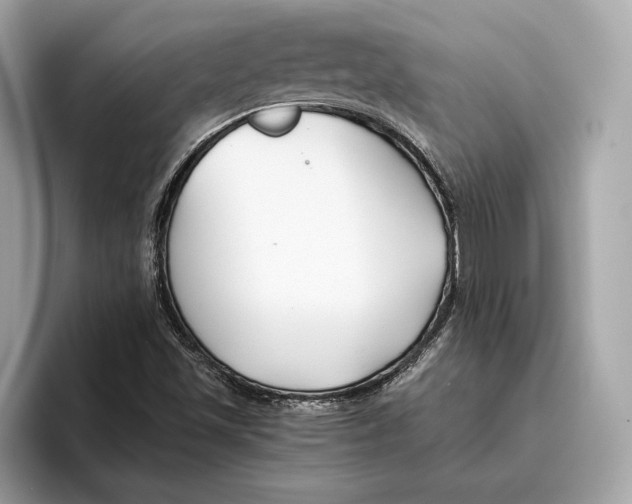 X0000096451501200802141502