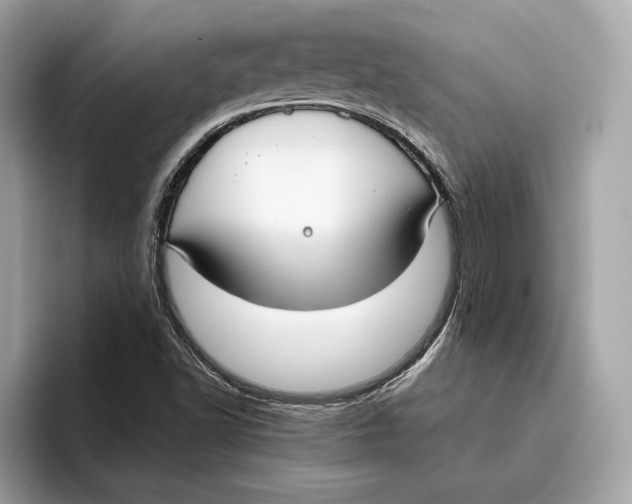 X0000096451502200802141502