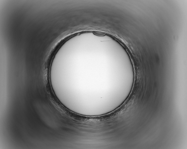 X0000096451503200802141502