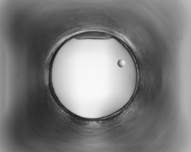 X0000096451504200802141502