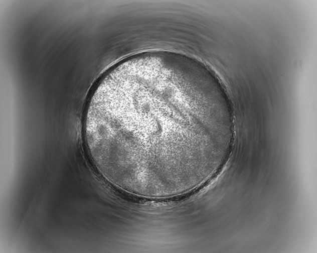 X0000096451505200802141502