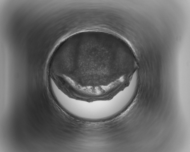 X0000096451506200802141502