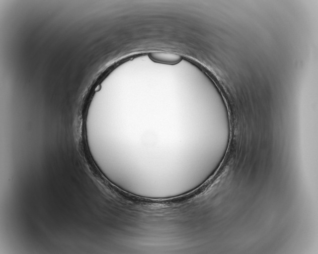 X0000096451507200802141502