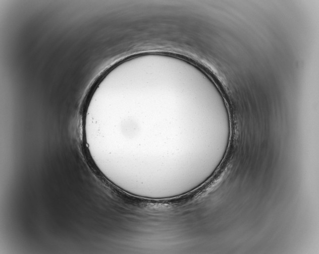 X0000096451509200802141502