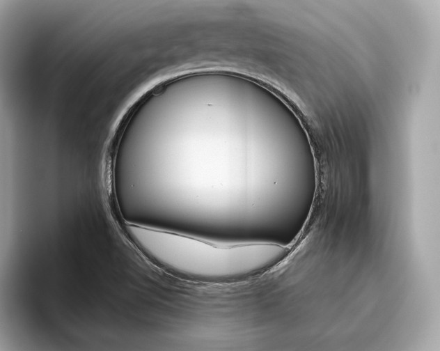 X0000096451510200802141502