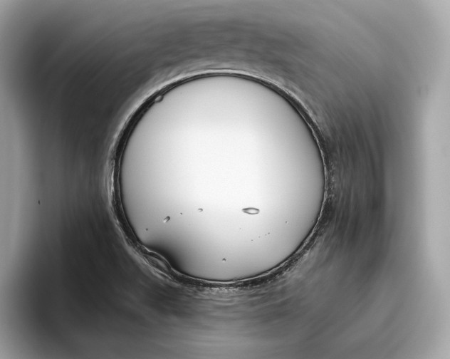 X0000096451511200802141502