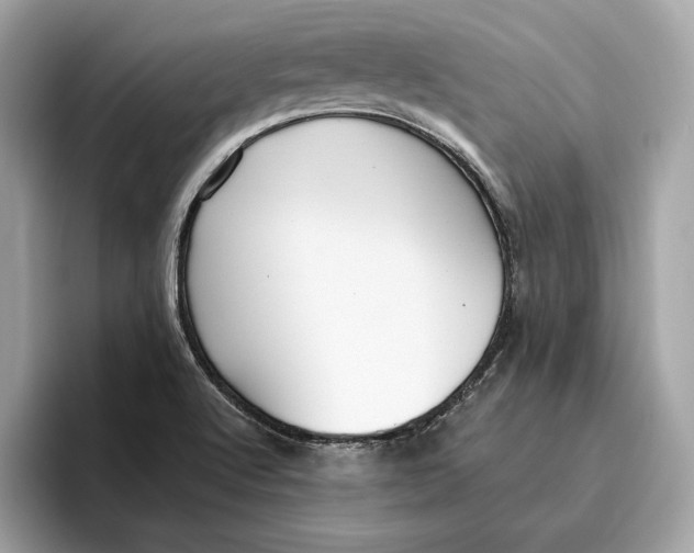 X0000096451512200802141502