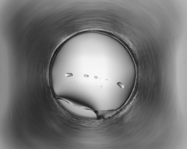 X0000096451513200802141502