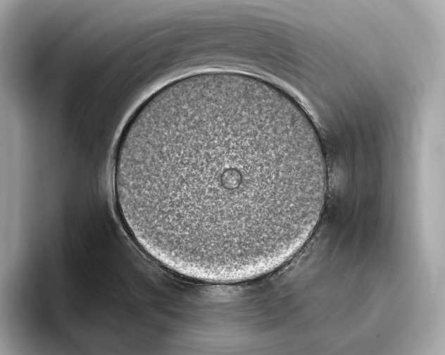 X0000096451514200802141502