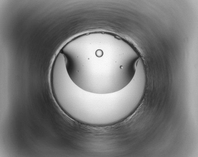 X0000096451516200802141502