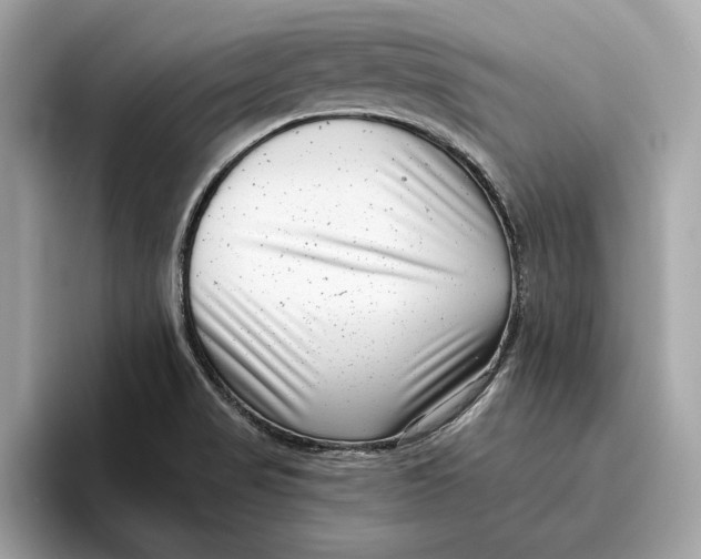 X0000096451517200802141502