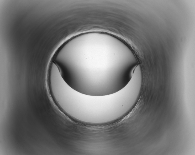 X0000096451518200802141502