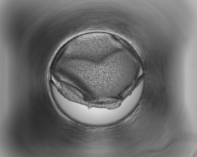 X0000096451519200802141502