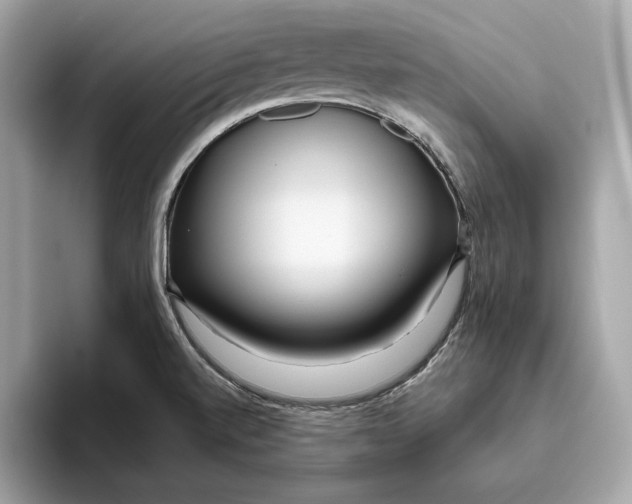 X0000096451520200802141502