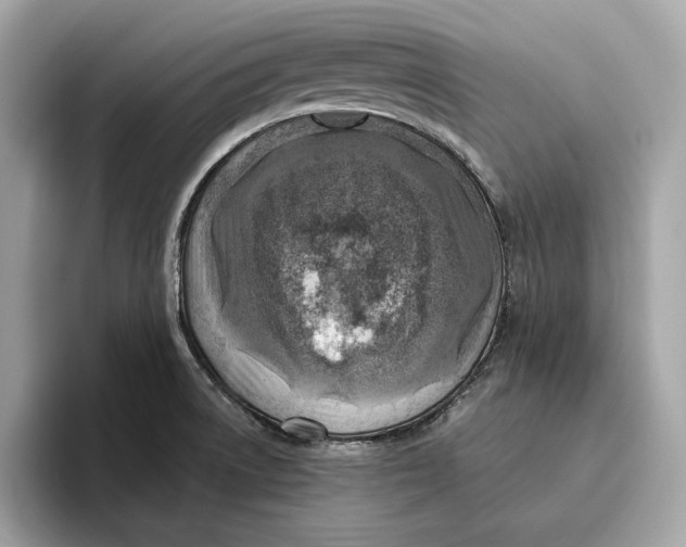 X0000096451522200802141502