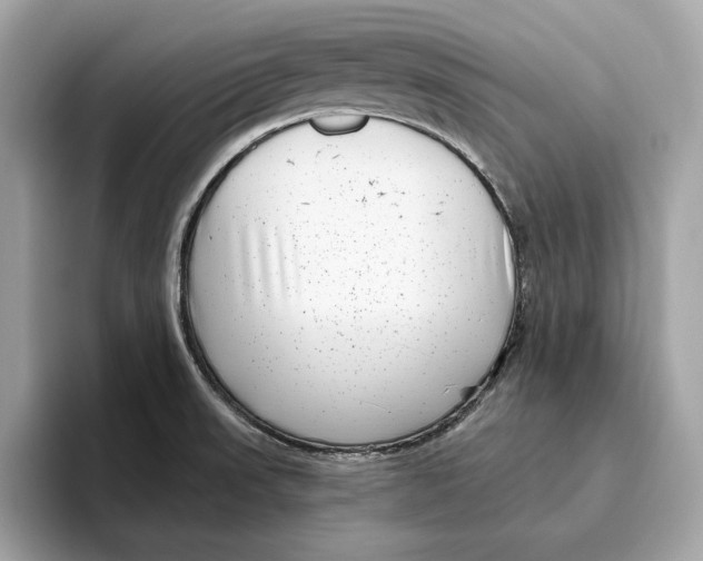 X0000096451523200802141502