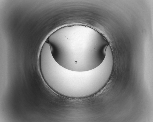 X0000096451524200802141502