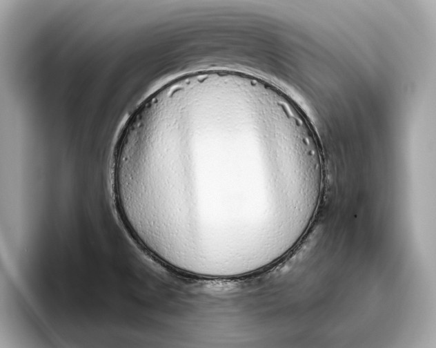 X0000096451525200802141502