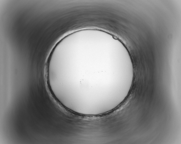 X0000096451526200802141502