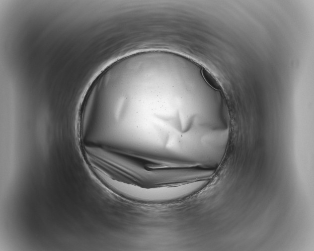 X0000096451527200802141502