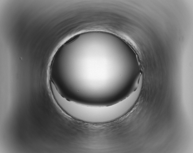 X0000096451528200802141502