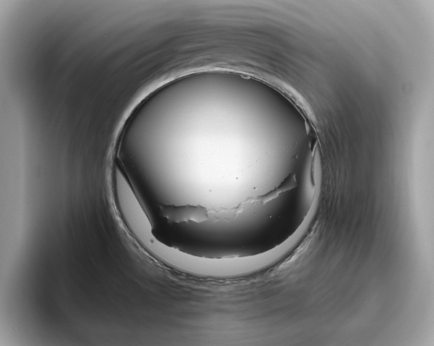 X0000096451530200802141502