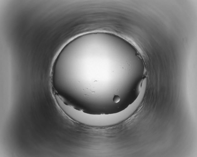 X0000096451532200802141502