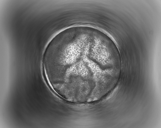 X0000096451533200802141502