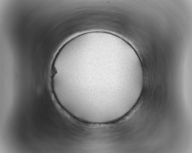 X0000096451534200802141502