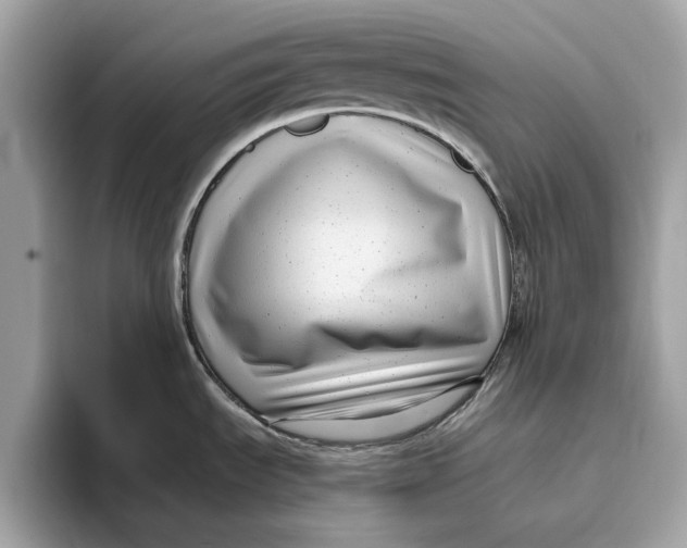 X0000096451535200802141502