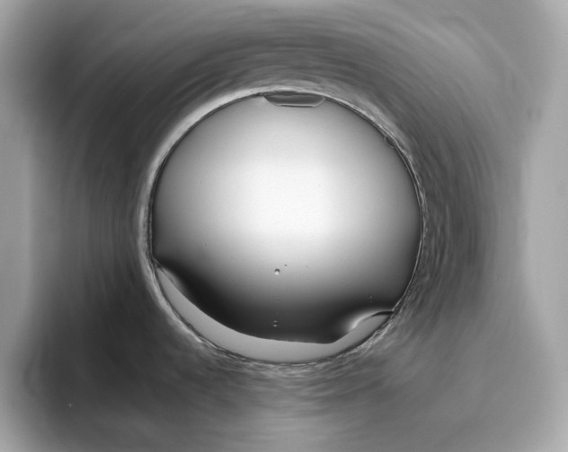 X0000096451536200802141502