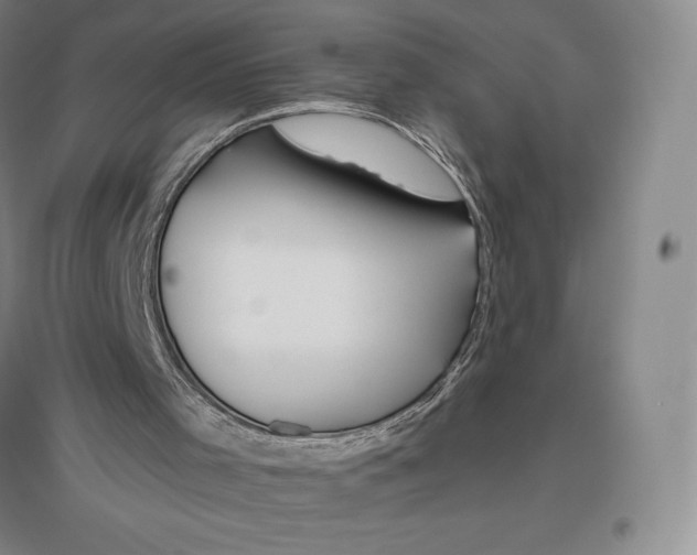 X0000096450001200802211245