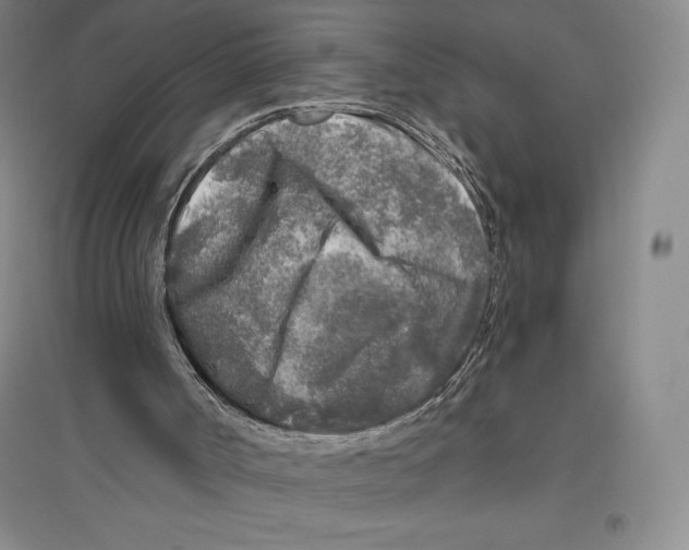 X0000096450002200802211245