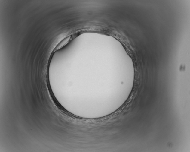 X0000096450003200802211245