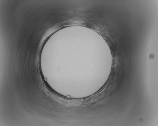 X0000096450004200802211245