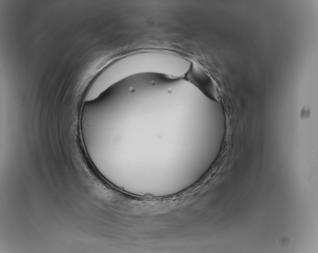 X0000096450005200802211245