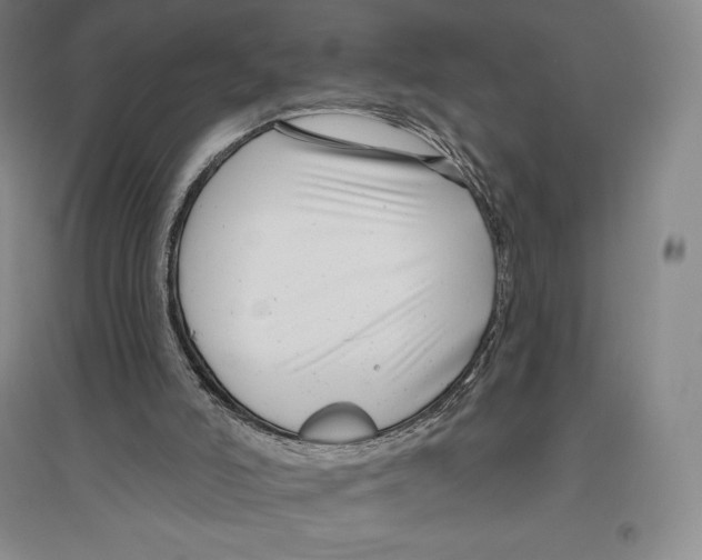 X0000096450006200802211245