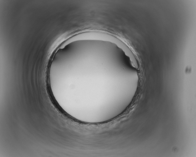 X0000096450007200802211245