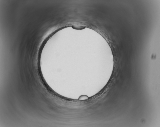 X0000096450008200802211245